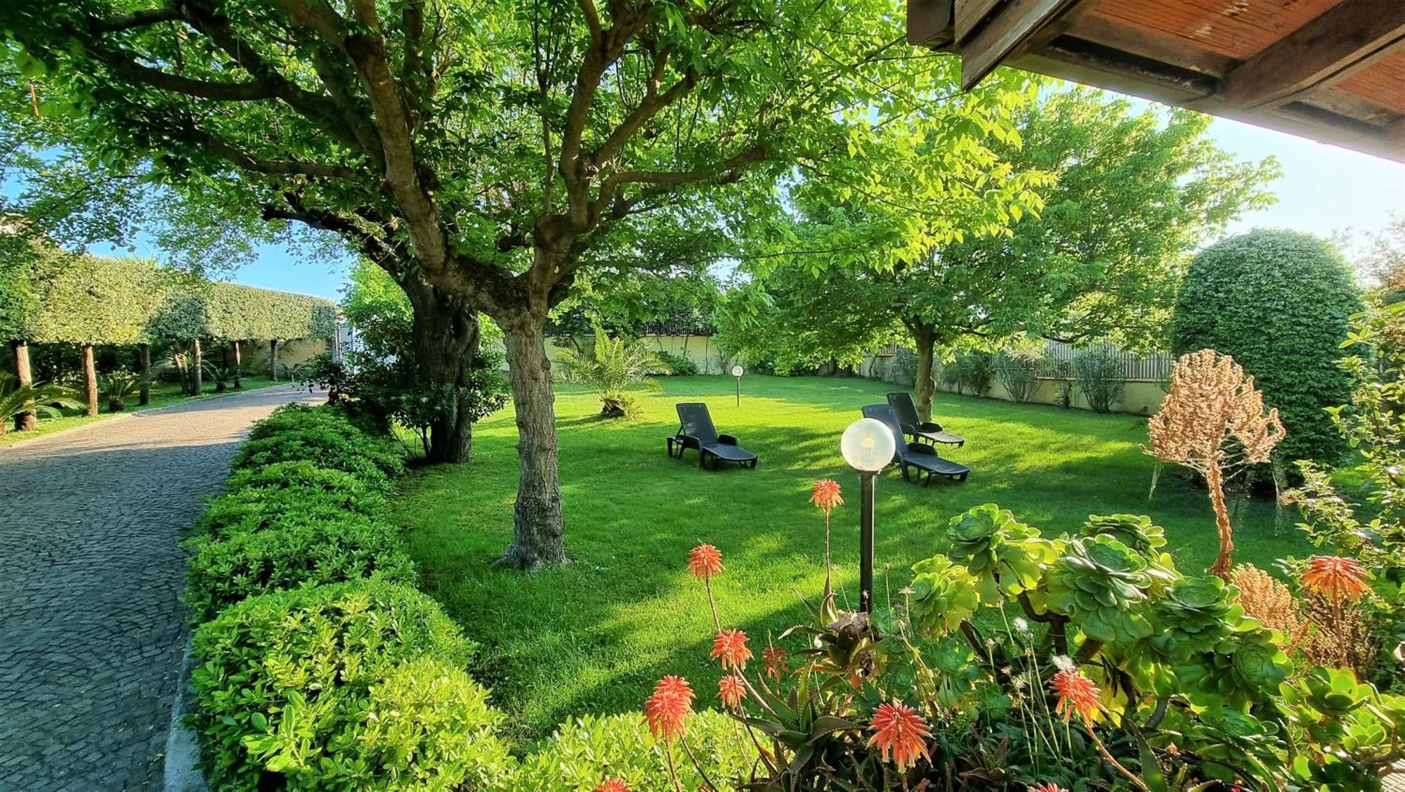 Villa Cecilia Sul Lago Fronte Mare 斯佩隆加 外观 照片